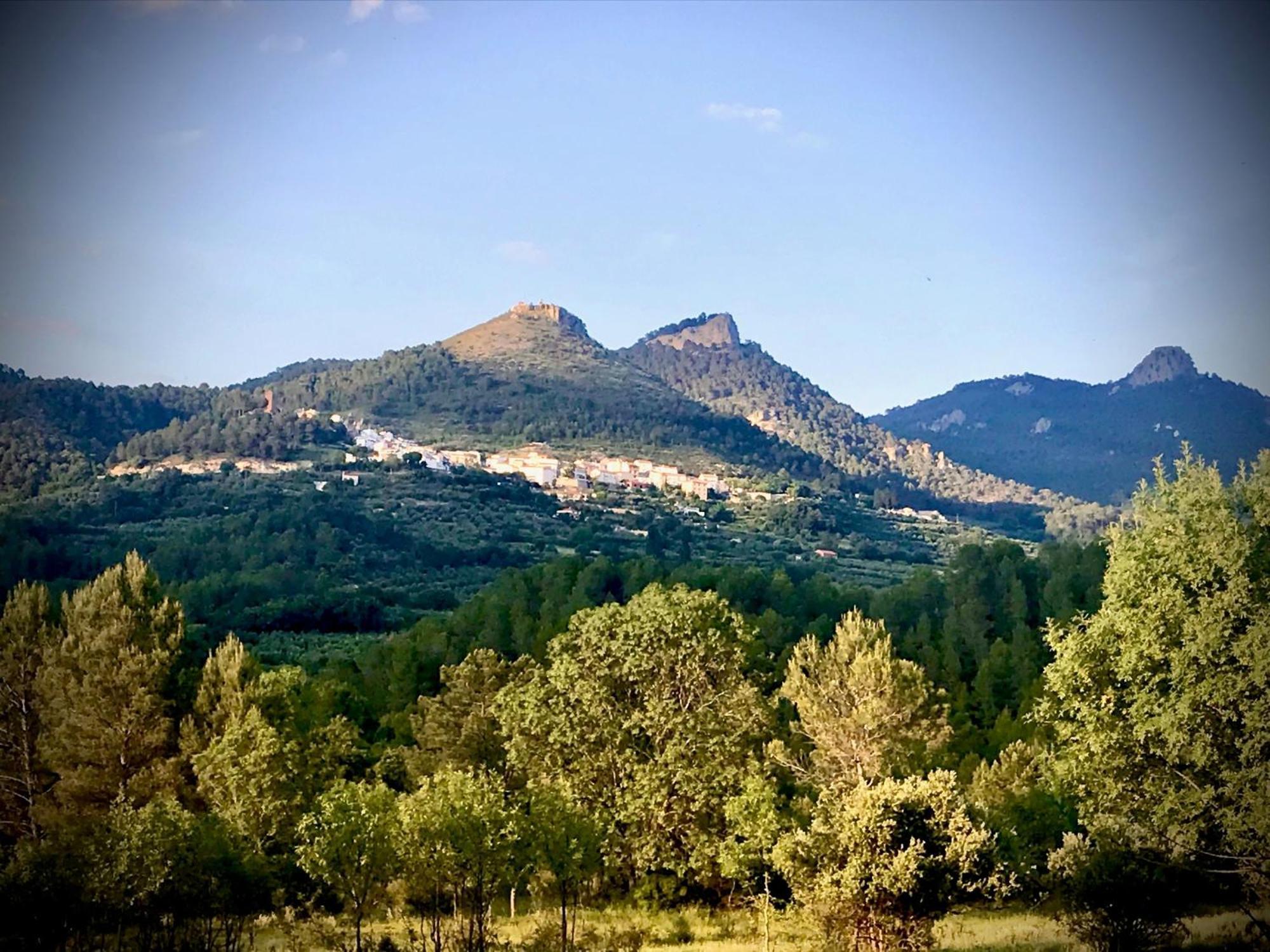 Casas Rurales Los Palenques Villaverde De Guadalimar 외부 사진